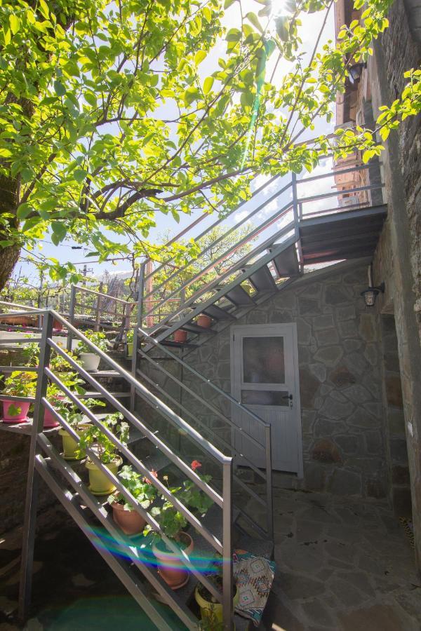The Mosaic House - Shtepia Me Mozaik 호텔 Përmet 외부 사진